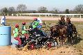 Photo n 32556&#10;Concours International de Lisieux 2015&#10;Patrice LEMARCIS - France.
Photo Chevalandrieu&#10;Affiche 10 fois&#10;Ajoute le 30/03/2015 15:23:39 par Nadinetoudic&#10;&#10;--> Cliquer pour agrandir <--