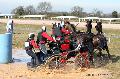 Photo n° 32559
Concours International de Lisieux 2015
Pierre JUNG - France.
Photo Chevalandrieu
Affichée 12 fois
Ajoutée le 30/03/2015 15:23:39 par Nadinetoudic

--> Cliquer pour agrandir <--