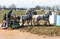Photo n 32565&#10;Concours International de Lisieux 2015&#10;Daniel NAPROUS - Grande Bretagne.
Photo Chevalandrieu&#10;Affiche 14 fois&#10;Ajoute le 30/03/2015 15:33:33 par Nadinetoudic&#10;&#10;--> Cliquer pour agrandir <--