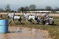 Photo n 32566&#10;Concours International de Lisieux 2015&#10;Sbastien MOURRIER - France.
Photo Chevalandrieu&#10;Affiche 15 fois&#10;Ajoute le 30/03/2015 15:33:34 par Nadinetoudic&#10;&#10;--> Cliquer pour agrandir <--