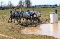 Photo n 32568&#10;Concours International de Lisieux 2015&#10;Sbastien MOURRIER - France.
Photo Chevalandrieu&#10;Affiche 19 fois&#10;Ajoute le 30/03/2015 15:33:34 par Nadinetoudic&#10;&#10;--> Cliquer pour agrandir <--