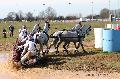 Photo n 32569&#10;Concours International de Lisieux 2015&#10;Sbastien MOURRIER - France.
Photo Chevalandrieu&#10;Affiche 25 fois&#10;Ajoute le 30/03/2015 15:33:34 par Nadinetoudic&#10;&#10;--> Cliquer pour agrandir <--