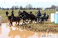 Photo n 32571&#10;Concours International de Lisieux 2015&#10;Sbastien VINCENT - France.
Photo Chevalandrieu&#10;Affiche 11 fois&#10;Ajoute le 30/03/2015 15:33:34 par Nadinetoudic&#10;&#10;--> Cliquer pour agrandir <--