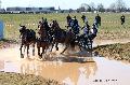Photo n 32572&#10;Concours International de Lisieux 2015&#10;Sbastien VINCENT - France.
Photo Chevalandrieu&#10;Affiche 14 fois&#10;Ajoute le 30/03/2015 15:33:34 par Nadinetoudic&#10;&#10;--> Cliquer pour agrandir <--