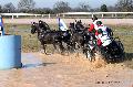 Photo n° 32574
Concours International de Lisieux 2015
Benjamin AILLAUD - France.
Photo Chevalandrieu
Affichée 14 fois
Ajoutée le 30/03/2015 15:38:35 par Nadinetoudic

--> Cliquer pour agrandir <--