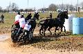 Photo n 32576&#10;Concours International de Lisieux 2015&#10;Benjamin AILLAUD - France.
Photo Chevalandrieu&#10;Affiche 20 fois&#10;Ajoute le 30/03/2015 15:38:35 par Nadinetoudic&#10;&#10;--> Cliquer pour agrandir <--
