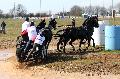 Photo n° 32576
Concours International de Lisieux 2015
Benjamin AILLAUD - France.
Photo Chevalandrieu
Affichée 17 fois
Ajoutée le 30/03/2015 15:38:35 par Nadinetoudic

--> Cliquer pour agrandir <--