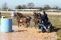 Photo n 32578&#10;Concours International de Lisieux 2015&#10;Flix-Marie BRASSEUR - Belgique
Photo Chevalandrieu&#10;Affiche 28 fois&#10;Ajoute le 30/03/2015 15:38:35 par Nadinetoudic&#10;&#10;--> Cliquer pour agrandir <--