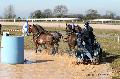 Photo n° 32578
Concours International de Lisieux 2015
Félix-Marie BRASSEUR - Belgique
Photo Chevalandrieu
Affichée 26 fois
Ajoutée le 30/03/2015 15:38:35 par Nadinetoudic

--> Cliquer pour agrandir <--