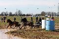 Photo n 32580&#10;Concours International de Lisieux 2015&#10;Flix-Marie BRASSEUR - Belgique
Photo Chevalandrieu&#10;Affiche 54 fois&#10;Ajoute le 30/03/2015 15:38:35 par Nadinetoudic&#10;&#10;--> Cliquer pour agrandir <--