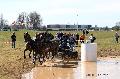 Photo n 32581&#10;Concours International de Lisieux 2015&#10;Flix-Marie BRASSEUR - Belgique
Photo Chevalandrieu&#10;Affiche 20 fois&#10;Ajoute le 30/03/2015 15:38:35 par Nadinetoudic&#10;&#10;--> Cliquer pour agrandir <--