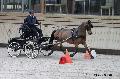 Photo n 32620&#10;Indoor de Deauville. 2015&#10;Pierre LE CLERC.
Photo Chevalandrieu&#10;Affiche 14 fois&#10;Ajoute le 06/04/2015 17:55:00 par Nadinetoudic&#10;&#10;--> Cliquer pour agrandir <--