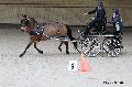 Photo n 32621&#10;Indoor de Deauville. 2015&#10;Pierre LE CLERC.
Photo Chevalandrieu&#10;Affiche 11 fois&#10;Ajoute le 06/04/2015 17:55:00 par Nadinetoudic&#10;&#10;--> Cliquer pour agrandir <--