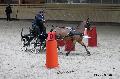 Photo n 32622&#10;Indoor de Deauville. 2015&#10;Pierre LE CLERC.
Photo Chevalandrieu&#10;Affiche 8 fois&#10;Ajoute le 06/04/2015 17:55:00 par Nadinetoudic&#10;&#10;--> Cliquer pour agrandir <--