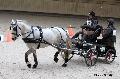 Photo n 32623&#10;Indoor de Deauville. 2015&#10;Sabine GUERIN.
Photo Chevalandrieu&#10;Affiche 14 fois&#10;Ajoute le 06/04/2015 17:55:00 par Nadinetoudic&#10;&#10;--> Cliquer pour agrandir <--