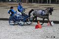 Photo n 32624&#10;Indoor de Deauville. 2015&#10;Grgory BARDIN.
Photo Chevalandrieu&#10;Affiche 24 fois&#10;Ajoute le 06/04/2015 17:55:00 par Nadinetoudic&#10;&#10;--> Cliquer pour agrandir <--