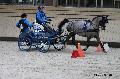 Photo n° 32624
Indoor de Deauville. 2015
Grégory BARDIN.
Photo Chevalandrieu
Affichée 20 fois
Ajoutée le 06/04/2015 17:55:00 par Nadinetoudic

--> Cliquer pour agrandir <--