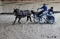 Photo n 32626&#10;Indoor de Deauville. 2015&#10;Grgory BARDIN.
Photo Chevalandrieu&#10;Affiche 13 fois&#10;Ajoute le 06/04/2015 17:55:00 par Nadinetoudic&#10;&#10;--> Cliquer pour agrandir <--