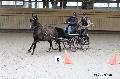 Photo n 32627&#10;Indoor de Deauville. 2015&#10;Brigitte GIBON.
Photo Chevalandrieu&#10;Affiche 74 fois&#10;Ajoute le 06/04/2015 17:55:00 par Nadinetoudic&#10;&#10;--> Cliquer pour agrandir <--