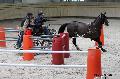 Photo n 32628&#10;Indoor de Deauville. 2015&#10;Brigitte GIBON.
Photo Chevalandrieu&#10;Affiche 25 fois&#10;Ajoute le 06/04/2015 17:55:00 par Nadinetoudic&#10;&#10;--> Cliquer pour agrandir <--