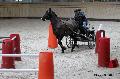 Photo n 32629&#10;Indoor de Deauville. 2015&#10;Brigitte GIBON.
Photo Chevalandrieu&#10;Affiche 13 fois&#10;Ajoute le 06/04/2015 17:55:01 par Nadinetoudic&#10;&#10;--> Cliquer pour agrandir <--
