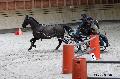 Photo n 32631&#10;Indoor de Deauville. 2015&#10;Brigitte GIBON.
Photo Chevalandrieu&#10;Affiche 22 fois&#10;Ajoute le 06/04/2015 17:55:01 par Nadinetoudic&#10;&#10;--> Cliquer pour agrandir <--