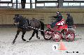 Photo n 32636&#10;Indoor de Deauville. 2015&#10;Laurence PATRAS.
Photo Chevalandrieu &#10;Affiche 8 fois&#10;Ajoute le 08/04/2015 13:47:24 par Nadinetoudic&#10;&#10;--> Cliquer pour agrandir <--