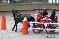 Photo n 32637&#10;Indoor de Deauville. 2015&#10;Laurence PATRAS.
Photo Chevalandrieu&#10;Affiche 14 fois&#10;Ajoute le 08/04/2015 13:47:24 par Nadinetoudic&#10;&#10;--> Cliquer pour agrandir <--