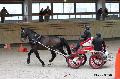 Photo n 32639&#10;Indoor de Deauville. 2015&#10;Laurence PATRAS.
Photo Chevalandrieu&#10;Affiche 12 fois&#10;Ajoute le 08/04/2015 13:47:24 par Nadinetoudic&#10;&#10;--> Cliquer pour agrandir <--