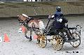 Photo n 32644&#10;Indoor de Deauville. 2015&#10;Sabine MIOSSEC DE LARRARD.
Photo Chevalandrieu&#10;Affiche 7 fois&#10;Ajoute le 08/04/2015 13:47:24 par Nadinetoudic&#10;&#10;--> Cliquer pour agrandir <--