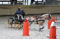 Photo n 32645&#10;Indoor de Deauville. 2015&#10;Sabine MIOSSEC DE LARRARD.
Photo Chevalandrieu&#10;Affiche 6 fois&#10;Ajoute le 08/04/2015 13:47:24 par Nadinetoudic&#10;&#10;--> Cliquer pour agrandir <--