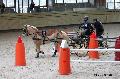 Photo n 32646&#10;Indoor de Deauville. 2015&#10;Sabine MIOSSEC DE LARRARD.
Photo Chevalandrieu&#10;Affiche 10 fois&#10;Ajoute le 08/04/2015 13:47:24 par Nadinetoudic&#10;&#10;--> Cliquer pour agrandir <--