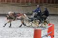 Photo n 32647&#10;Indoor de Deauville. 2015&#10;Sabine MIOSSEC DE LARRARD.
Photo Chevalandrieu&#10;Affiche 12 fois&#10;Ajoute le 08/04/2015 13:47:24 par Nadinetoudic&#10;&#10;--> Cliquer pour agrandir <--