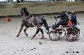 Photo n 32648&#10;Indoor de Deauville. 2015&#10;Francis LE NOUAILLE.
Photo Chevalandrieu&#10;Affiche 20 fois&#10;Ajoute le 08/04/2015 13:47:24 par Nadinetoudic&#10;&#10;--> Cliquer pour agrandir <--