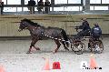 Photo n 32650&#10;Indoor de Deauville. 2015&#10;Francis LE NOUAILLE.
Photo Chevalandrieu&#10;Affiche 17 fois&#10;Ajoute le 08/04/2015 13:47:24 par Nadinetoudic&#10;&#10;--> Cliquer pour agrandir <--