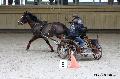Photo n 32651&#10;Indoor de Deauville. 2015&#10;Francis LE NOUAILLE.
Photo Chevalandrieu&#10;Affiche 10 fois&#10;Ajoute le 08/04/2015 13:47:24 par Nadinetoudic&#10;&#10;--> Cliquer pour agrandir <--