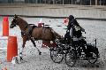 Photo n 32652&#10;Indoor de Deauville. 2015&#10;Pascale AUDIGUER.
Photo Chevalandrieu&#10;Affiche 7 fois&#10;Ajoute le 09/04/2015 15:07:43 par Nadinetoudic&#10;&#10;--> Cliquer pour agrandir <--