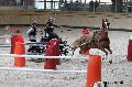 Photo n 32653&#10;Indoor de Deauville. 2015&#10;Pascale AUDIGUER.
Photo Chevalandrieu&#10;Affiche 14 fois&#10;Ajoute le 09/04/2015 15:07:43 par Nadinetoudic&#10;&#10;--> Cliquer pour agrandir <--