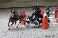Photo n 32654&#10;Indoor de Deauville. 2015&#10;Pascale AUDIGUER.
Photo Chevalandrieu&#10;Affiche 11 fois&#10;Ajoute le 09/04/2015 15:07:43 par Nadinetoudic&#10;&#10;--> Cliquer pour agrandir <--