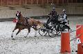 Photo n 32655&#10;Indoor de Deauville. 2015&#10;Pascale AUDIGUER.
Photo Chevalandrieu&#10;Affiche 13 fois&#10;Ajoute le 09/04/2015 15:07:43 par Nadinetoudic&#10;&#10;--> Cliquer pour agrandir <--