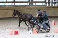 Photo n 32656&#10;Indoor de Deauville. 2015&#10;Yves GIBON.
Photo Chevalandrieu&#10;Affiche 10 fois&#10;Ajoute le 09/04/2015 15:07:43 par Nadinetoudic&#10;&#10;--> Cliquer pour agrandir <--