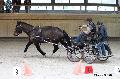 Photo n 32657&#10;Indoor de Deauville. 2015&#10;Yves GIBON.
Photo Chevalandrieu&#10;Affiche 11 fois&#10;Ajoute le 09/04/2015 15:07:43 par Nadinetoudic&#10;&#10;--> Cliquer pour agrandir <--