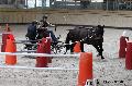 Photo n 32658&#10;Indoor de Deauville. 2015&#10;Yves GIBON.
Photo Chevalandrieu&#10;Affiche 15 fois&#10;Ajoute le 09/04/2015 15:07:43 par Nadinetoudic&#10;&#10;--> Cliquer pour agrandir <--
