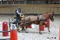Photo n 32661&#10;Indoor de Deauville. 2015&#10;Frdric VAUQUIER.
Photo Chevalandrieu&#10;Affiche 12 fois&#10;Ajoute le 09/04/2015 15:07:44 par Nadinetoudic&#10;&#10;--> Cliquer pour agrandir <--