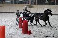 Photo n 32662&#10;Indoor de Deauville. 2015&#10;Marc MENET.
Photo Chevalandrieu&#10;Affiche 10 fois&#10;Ajoute le 09/04/2015 15:07:44 par Nadinetoudic&#10;&#10;--> Cliquer pour agrandir <--