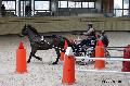 Photo n 32664&#10;Indoor de Deauville. 2015&#10;Marc MENET.
Photo Chevalandrieu&#10;Affiche 8 fois&#10;Ajoute le 09/04/2015 15:07:44 par Nadinetoudic&#10;&#10;--> Cliquer pour agrandir <--
