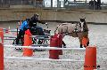 Photo n 32666&#10;Indoor de Deauville. 2015&#10;Guillaume GOUDAILLER.
Photo Chevalandrieu&#10;Affiche 20 fois&#10;Ajoute le 09/04/2015 15:07:44 par Nadinetoudic&#10;&#10;--> Cliquer pour agrandir <--