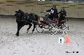 Photo n 32668&#10;Indoor de Deauville. 2015&#10;Nicolas WIART.
Photo Chevalandrieu&#10;Affiche 13 fois&#10;Ajoute le 10/04/2015 18:28:52 par Nadinetoudic&#10;&#10;--> Cliquer pour agrandir <--