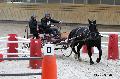 Photo n 32669&#10;Indoor de Deauville. 2015&#10;Nicolas WIART.
Photo Chevalandrieu&#10;Affiche 8 fois&#10;Ajoute le 10/04/2015 18:28:52 par Nadinetoudic&#10;&#10;--> Cliquer pour agrandir <--
