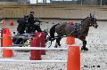 Photo n 32671&#10;Indoor de Deauville. 2015&#10;Cline JOURDAIN.
Photo Chevalandrieu&#10;Affiche 16 fois&#10;Ajoute le 10/04/2015 18:28:52 par Nadinetoudic&#10;&#10;--> Cliquer pour agrandir <--